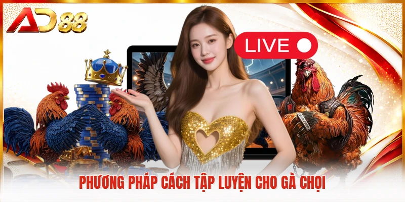 Phương pháp cách tập luyện cho gà chọi