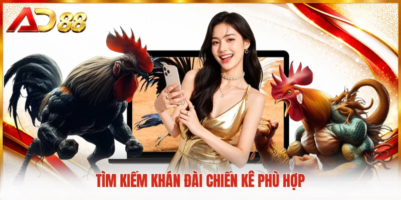 Nạp & Cược Đá Gà Thomo Mở Ra Thế Giới Giải Trí Đỉnh Cao Tìm kiếm khán đài chiến kê phù hợp
